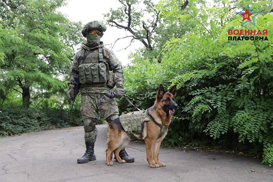 А в Мариуполе продолжает налаживаться мирная жизнь. Причём не без помощи российских военных.