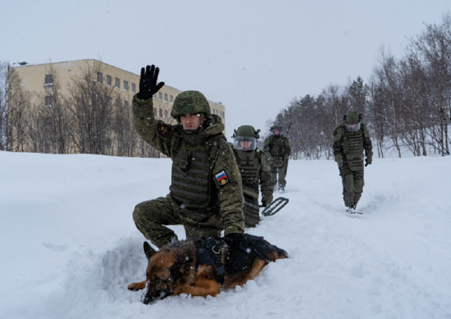 Россия направила военных морских инженеров для «разминирования» Арктики